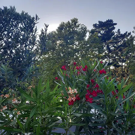 Bed & Breakfast D Hotes - La De Charlotte