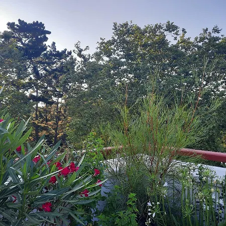 Bed & Breakfast D Hotes - La De Charlotte 2*
